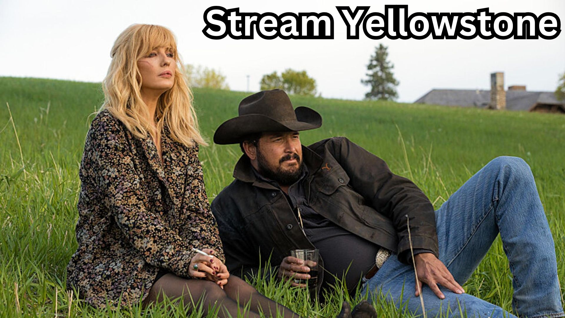 Stream Yellowstone